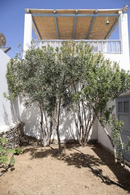 Beachfront 2Br Apartment - Free Parking 利瓦迪奥 外观 照片